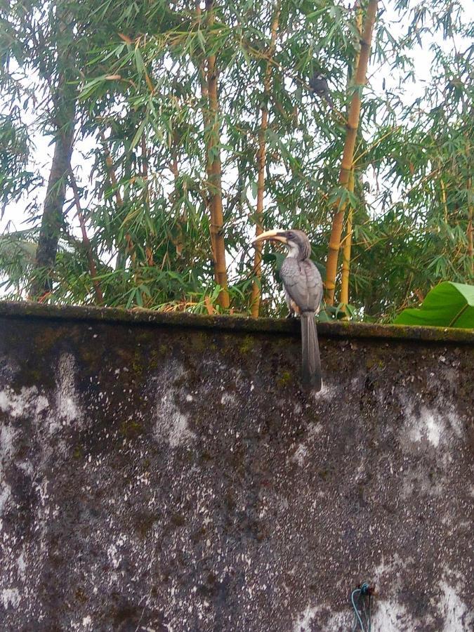 Rathna Gems Halt Hotel Ratnapura Exterior photo